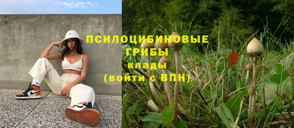 бутират Алексин