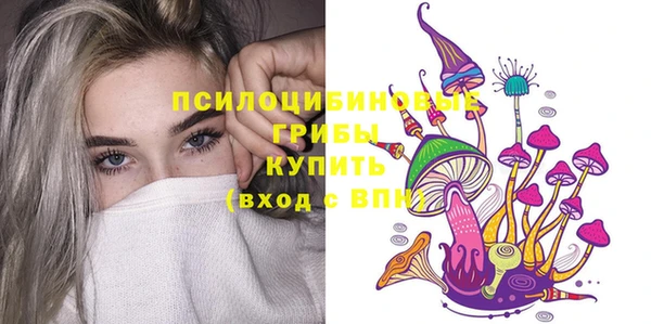 mix Арсеньев