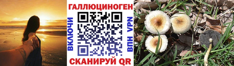 Псилоцибиновые грибы MAGIC MUSHROOMS  Липки 